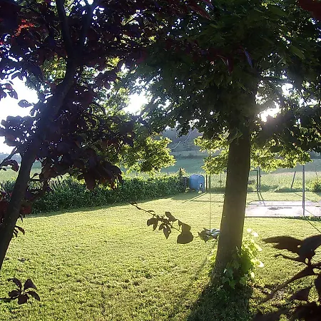 Gavi/alice Open Space 3*