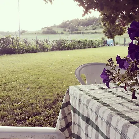 Panzió Gavi/alice Open Space