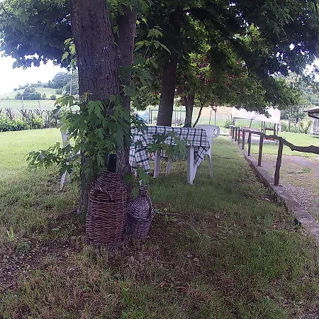 Gavi/alice Open Space 3*